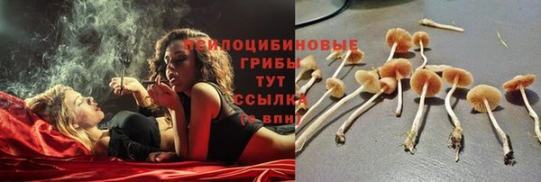 прущая мука Баксан